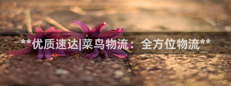 28圈反水