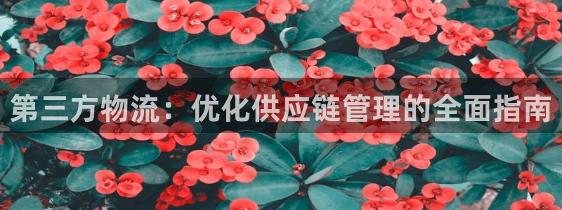 南宫28圈官网版