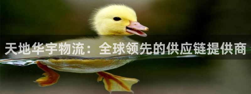 28圈登录不上咋回事：天地华宇物流：