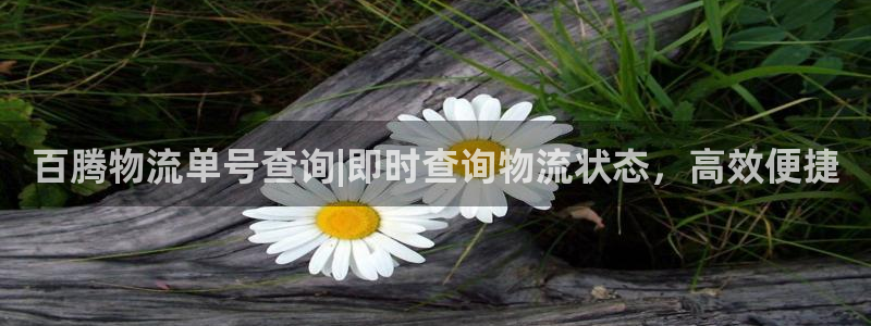28圈官网版2024