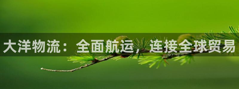 28圈官网平台