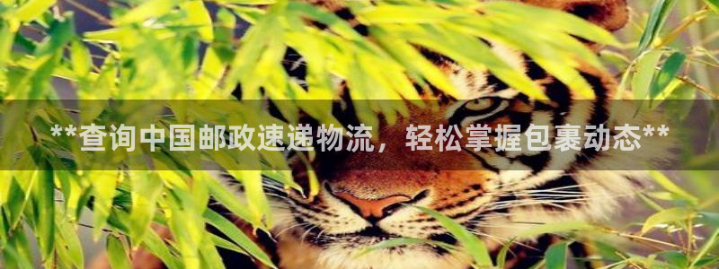 28圈游戏官网版