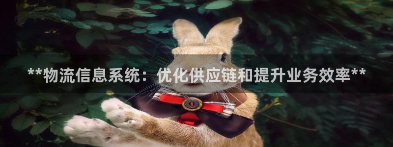 28圈口内径是多大