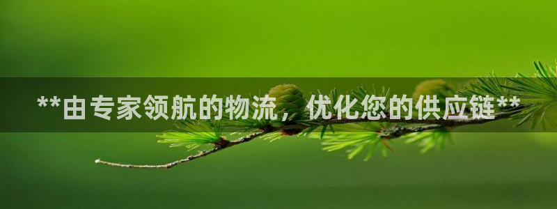 28圈网站平台