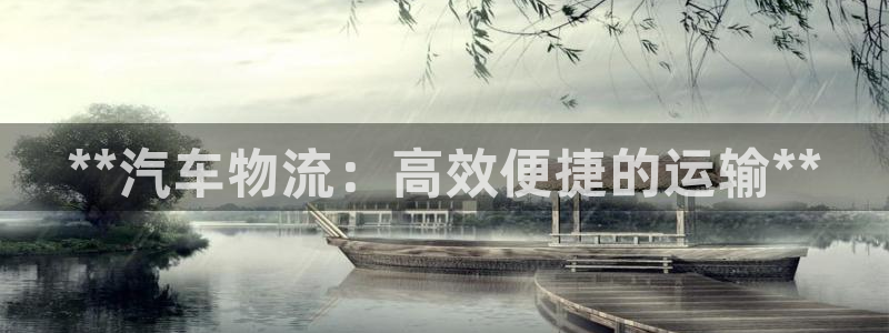 28圈平台注册：**汽车物流：高效便