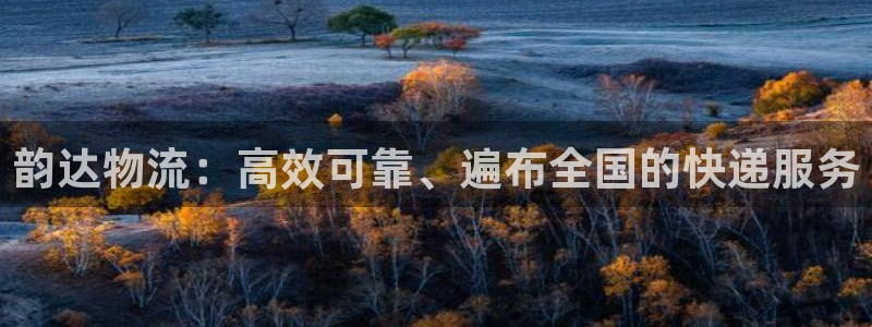 28圈退款教程：韵达物流：高效可靠、