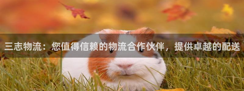 28圈.ccmapp