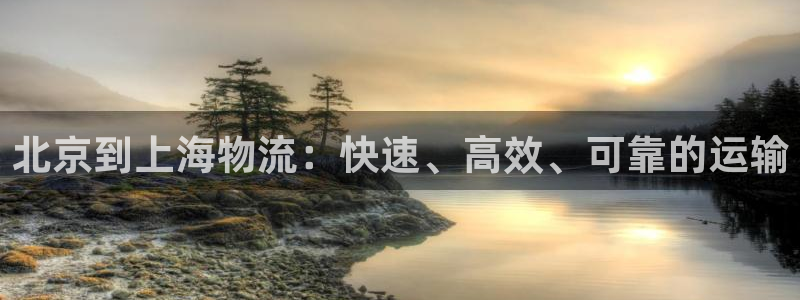 28圈龙虎