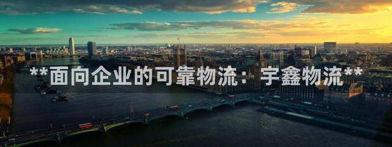 28圈在线预测