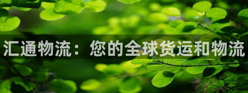 28圈麻将胡了