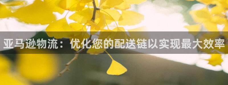 28圈加拿大28：亚马逊物流：优化您