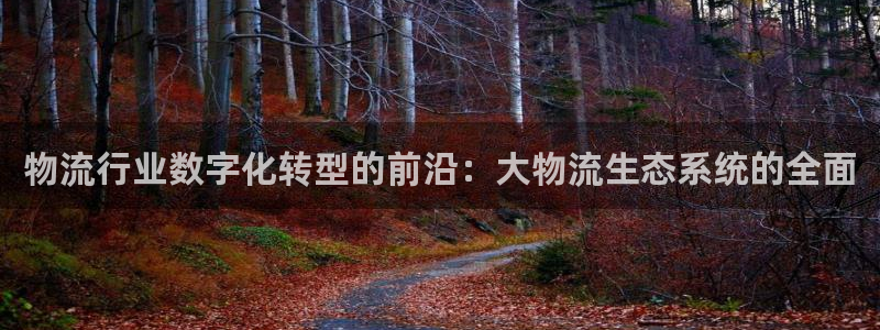 28圈app能退款吗：物流行业数字化