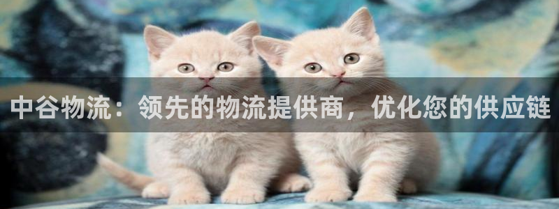 pc28圈怎么注册：中谷物流：领先的