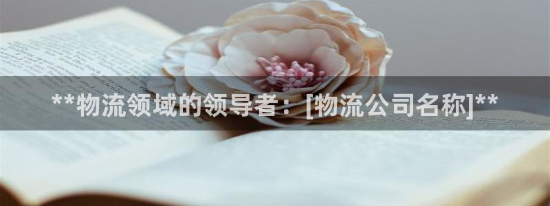 28圈官网版下载：**物流领域的领导