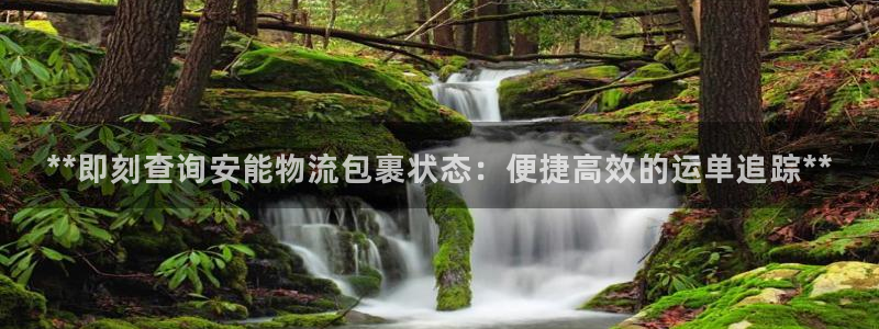 28圈链接多少：**即刻查询安能物流