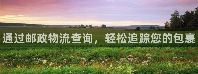 28圈注册链接入口：通过邮政物流查询