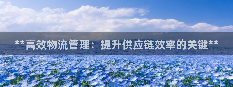 28圈加拿大6.0：**高效物流管理