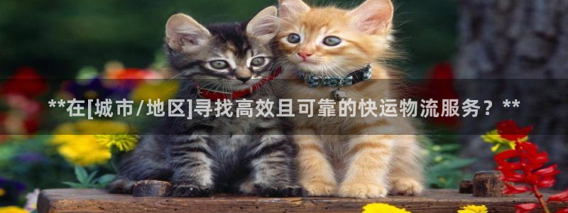 28圈app怎么注销：**在[城市/