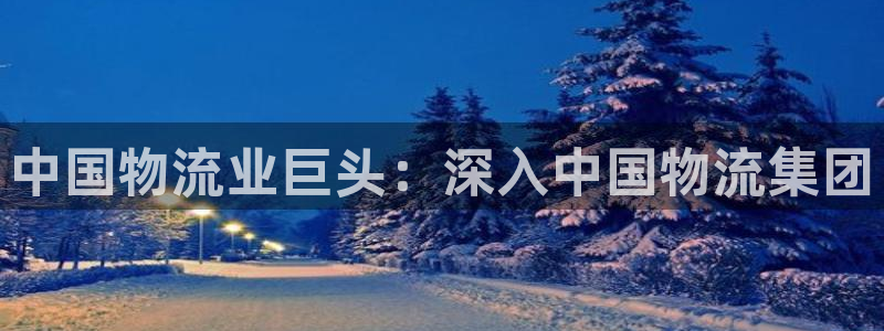 28圈加拿大真假怎么看