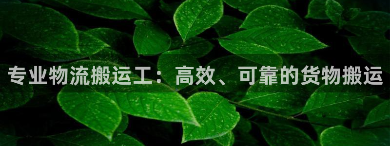 28圈哪个最赚钱