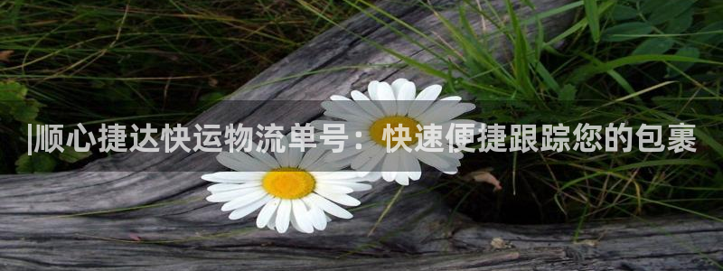 28圈网站平台是多少：|顺心捷达快运