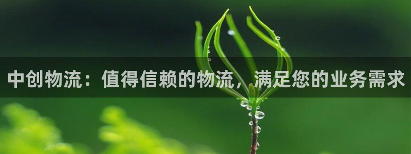 28圈充值方式：中创物流：值得信赖的