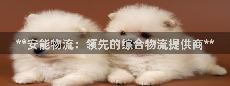 28圈免费：**安能物流：领先的综合