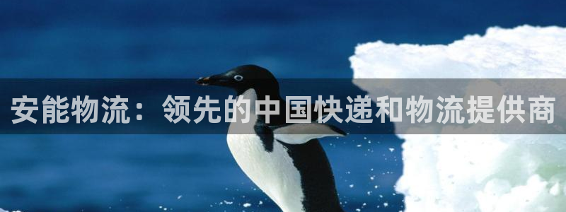 28圈注册账号：安能物流：领先的中国