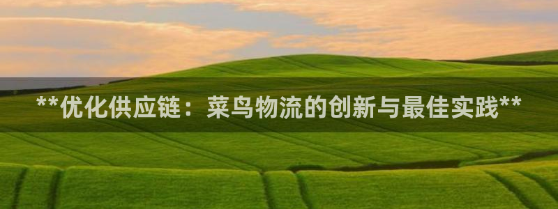28圈注册流程：**优化供应链：菜鸟