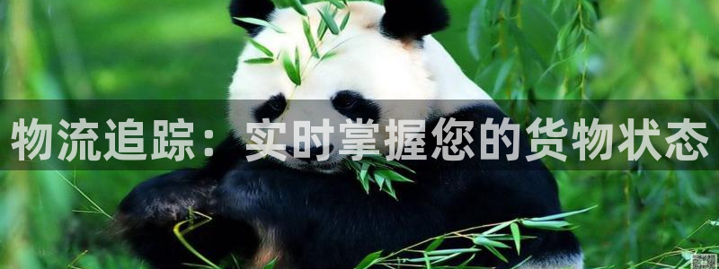 28圈反水怎么算