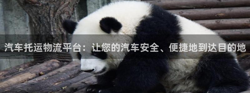 28圈游戏最新版