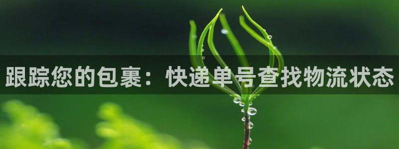 28圈注册登录：跟踪您的包裹：快递单