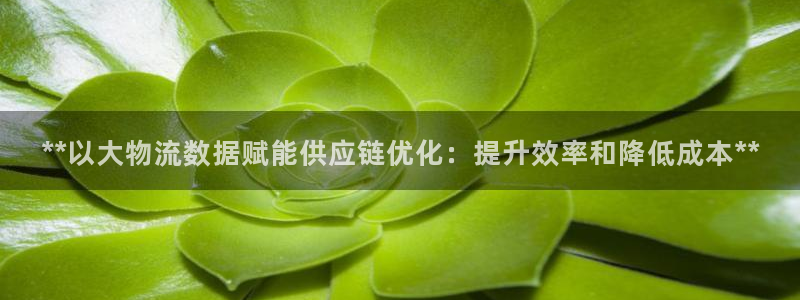 28圈ip被限制怎么解决