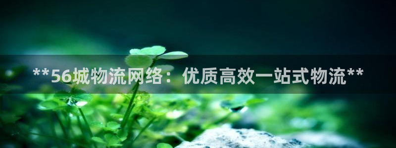28圈官网版下载