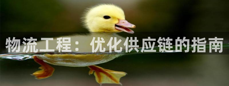 28圈注册用户名是什么：物流工程：优