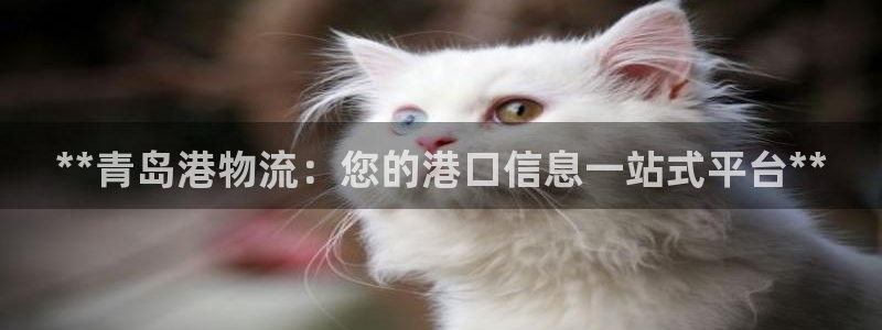 28圈链接来一个
