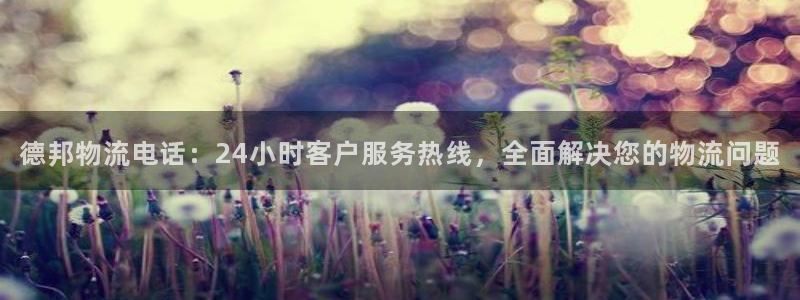 28圈注册流程：德邦物流电话：24小