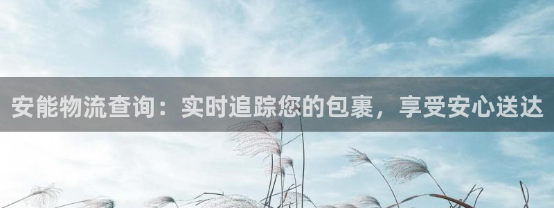 28圈流水怎么算：安能物流查询：实时