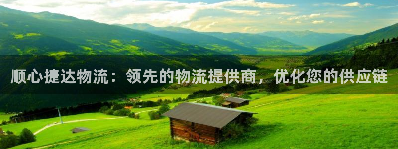 28圈模拟器：顺心捷达物流：领先的物