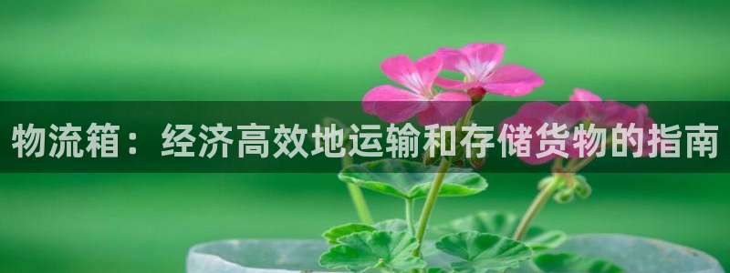 28圈注册网站多少钱：物流箱：经济高