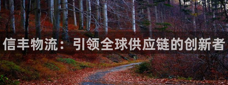 28圈p扣除是什么意思：信丰物流：引
