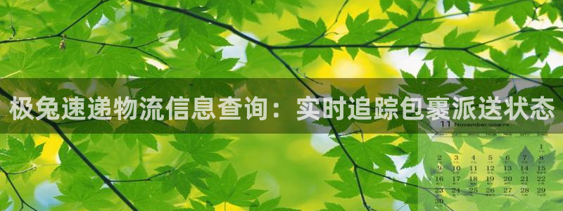 28圈注册网站：极兔速递物流信息查询