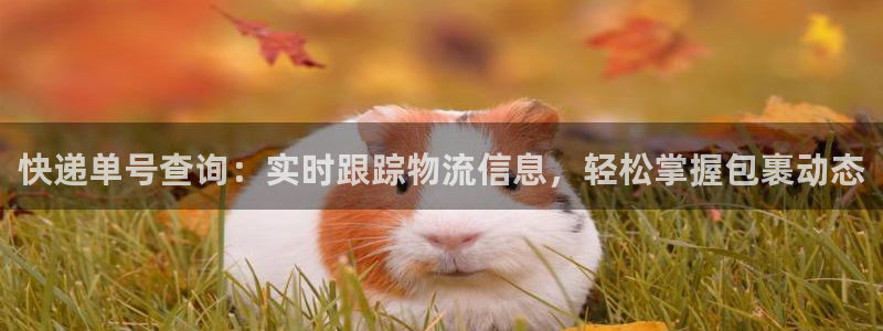 28圈app怎么注销：快递单号查询：