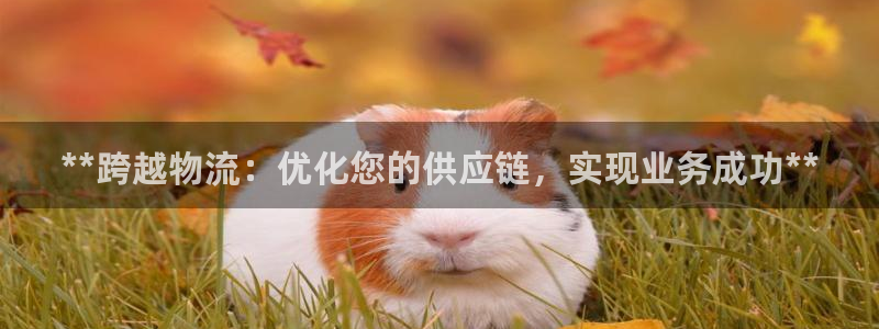 28圈登录不上咋回事：**跨越物流：