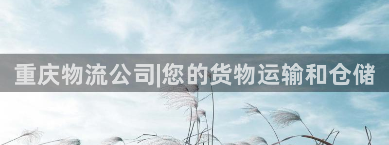 28圈免费