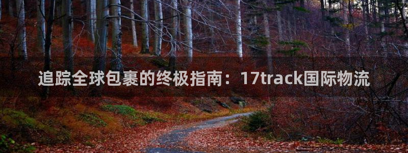 28圈怎么下载：追踪全球包裹的终极指
