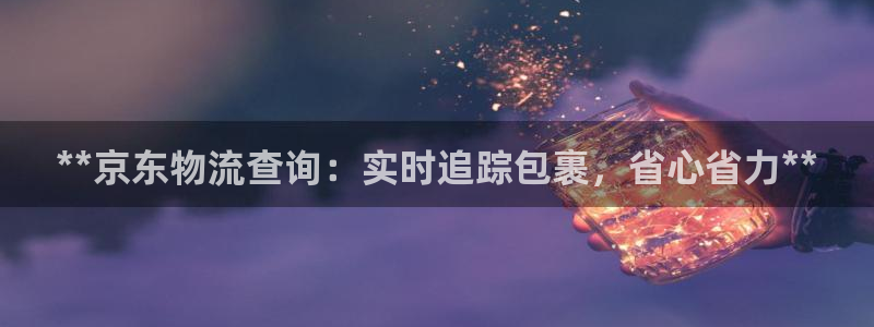 28圈技巧：**京东物流查询：实时追