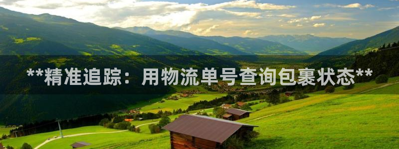28圈二维码