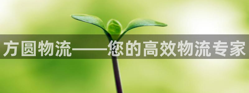 28圈注册链接教程：方圆物流——您的
