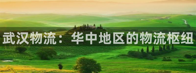 28圈充值不处理：武汉物流：华中地区